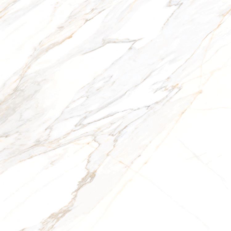 Aurum Calacatta Polished 48 x 48
